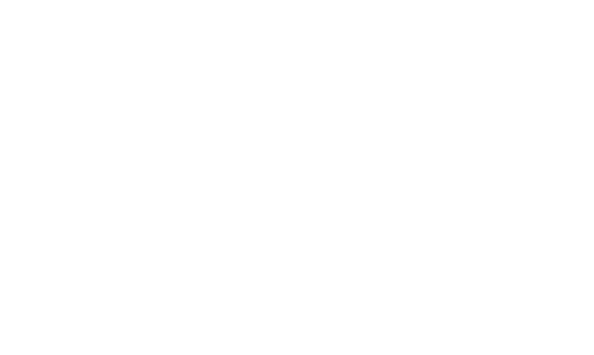 Intelecta